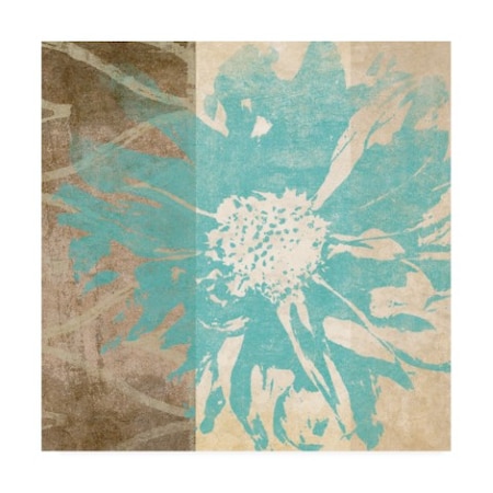 Trademark Fine Art Alonzo Saunders 'Flower Flake I' Canvas Art, 24x24 WAG12982-C2424GG